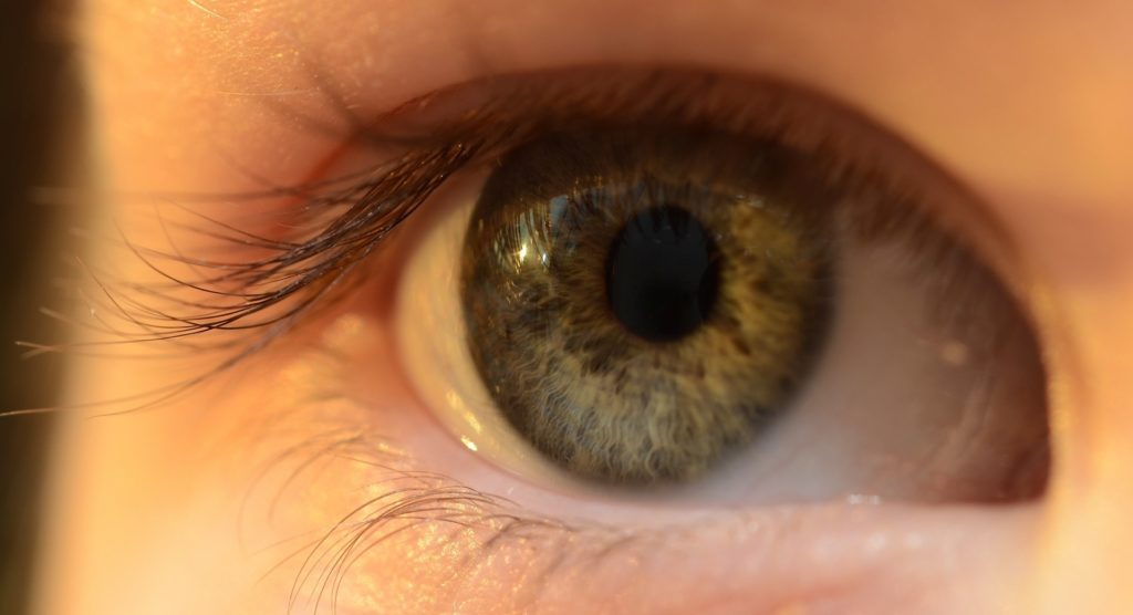 yeux-oeil-lentille yeux-oeil-lentille