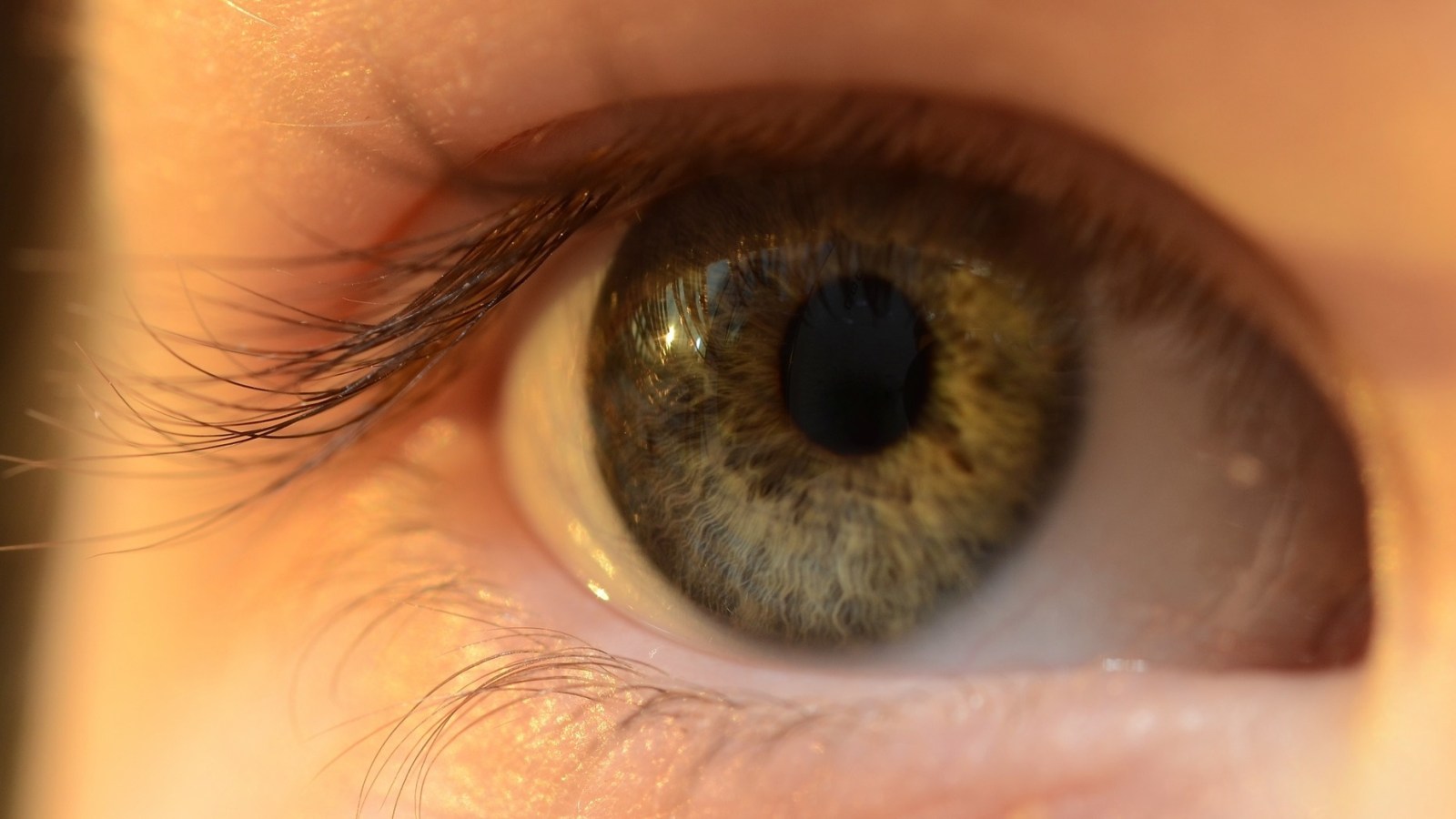 Google et novartis reportent leur test de lentilles de contact intelligentes