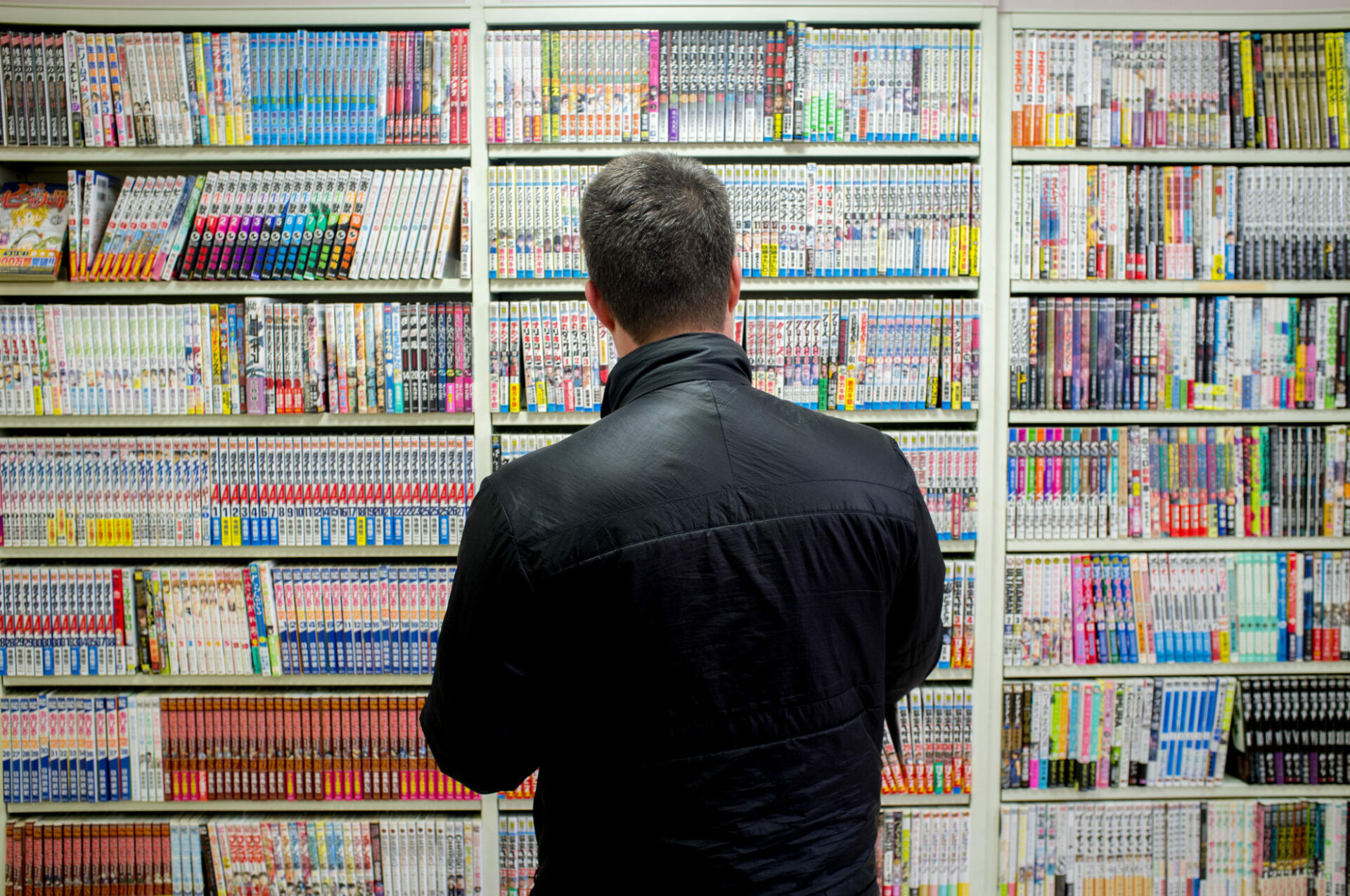 Des mangas à foison. // Source : Scott Rocher Des mangas à foison. // Source : Scott Rocher