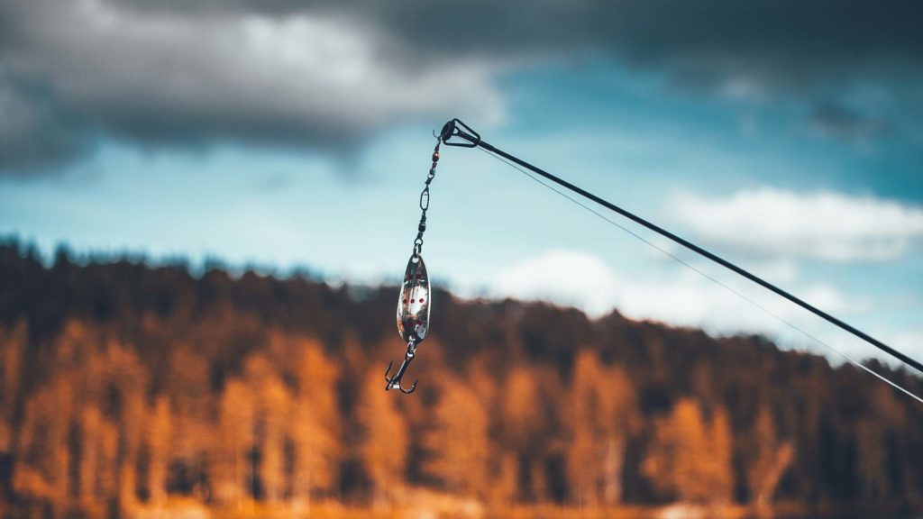 phishing phishing
