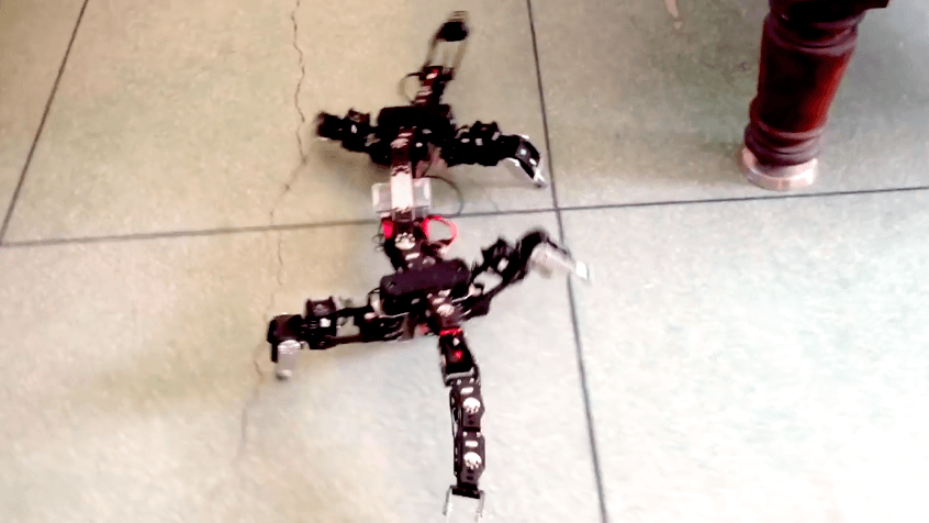 Le robot sans sa peau artificielle