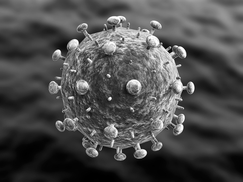 Le virus, vu au microscope