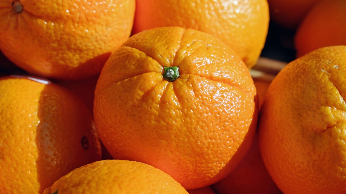 oranges