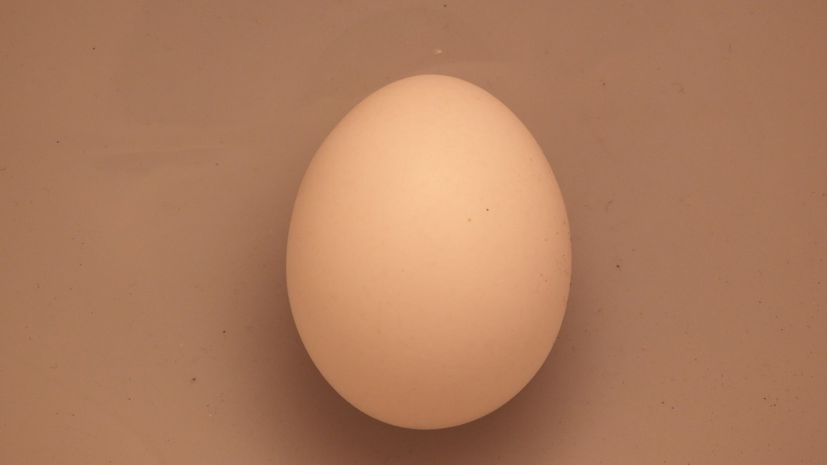 14826438599_7844c5f537_k