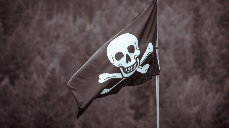 Créer son propre Netflix : rencontre avec les nouveaux rois du piratage