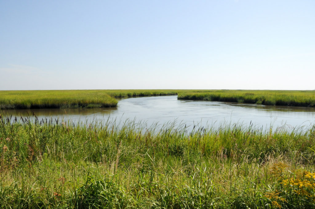 Le magnifique parc national de Bombay Hook dans le Delaware. Un état aussi connu pour ses paysages vidés de présence humaine que pour ses taxes. 