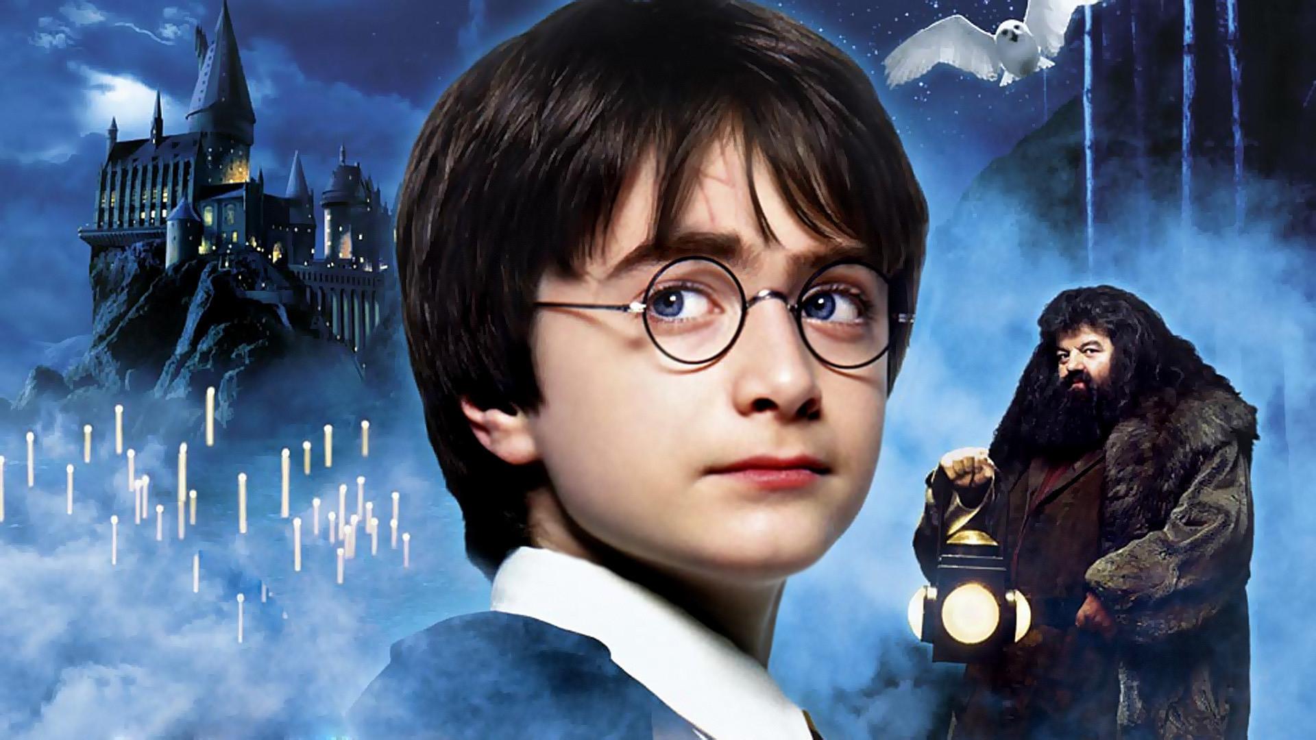 harry potter harry potter