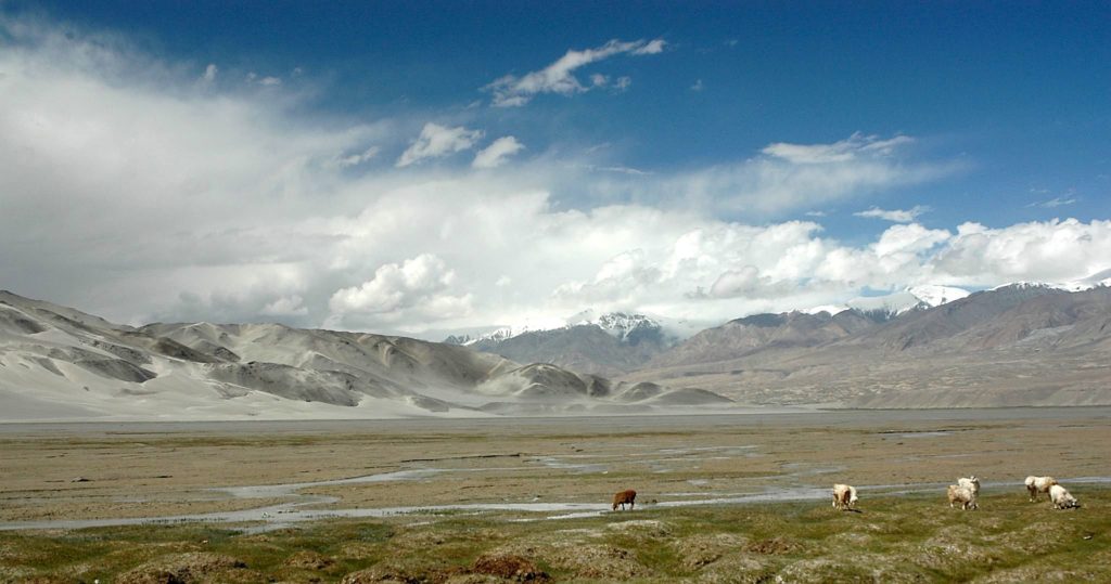 Les steppes du Xinjiang. // Source : Peter Morgan