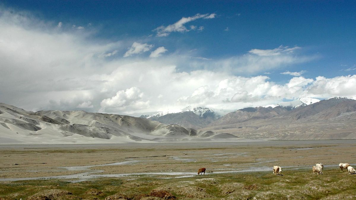 Les steppes du Xinjiang. // Source : Peter Morgan
