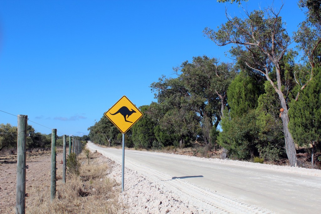 Street Sign Kangaroo Shield Warning Road Australia