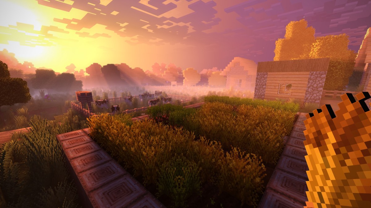 minecraft_sunset_cows