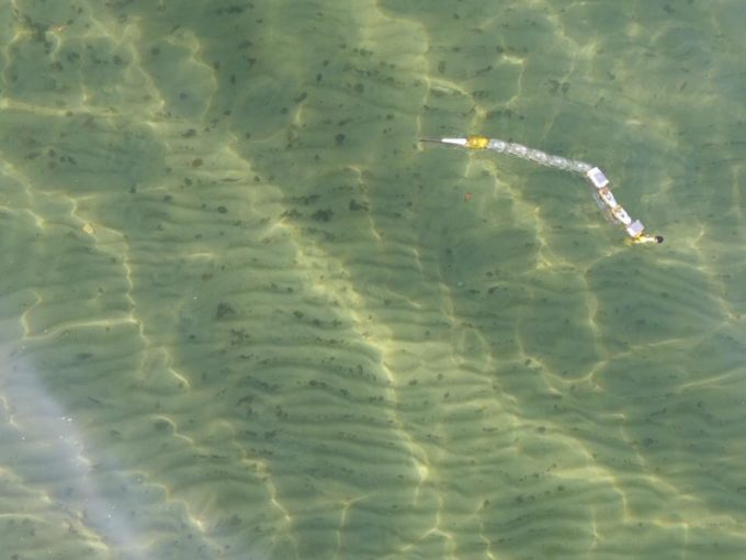 robotic-eel-pollution-1 robotic-eel-pollution-1
