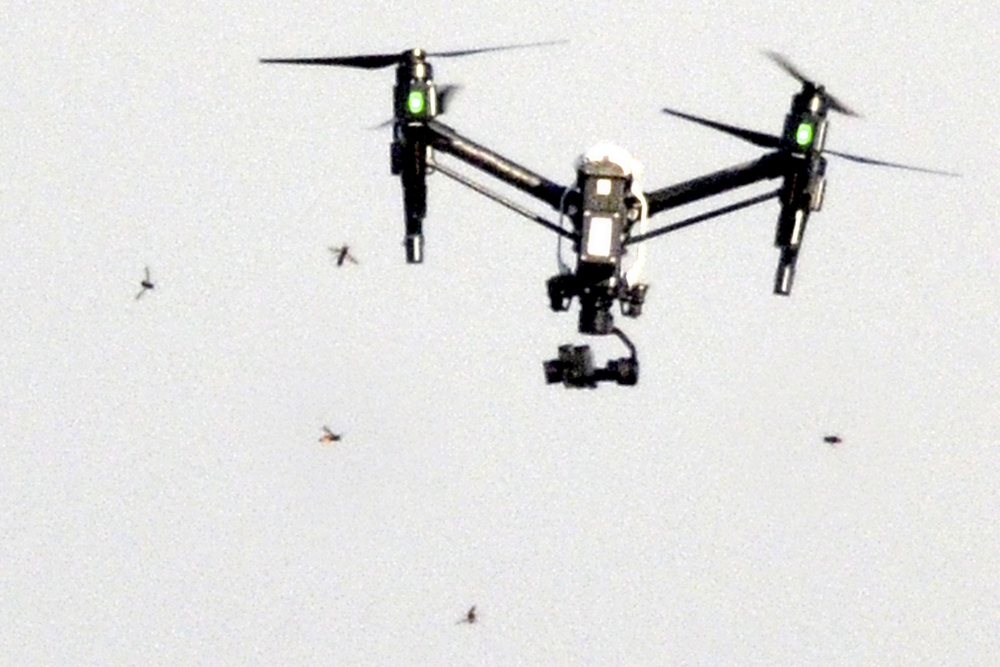 Photo du Jersey Evening Post, montrant le drone en pleine bataille.
