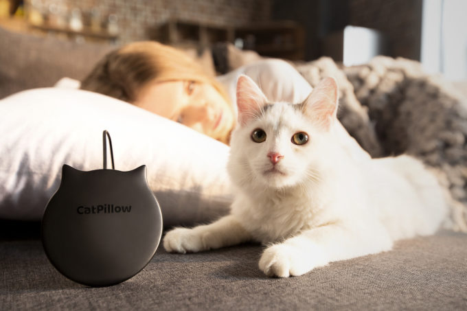 CatPillow CatPillow