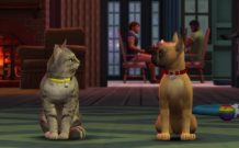 the-sims-4-cats-dogs-official-reveal-trailer-154 the-sims-4-cats-dogs-official-reveal-trailer-154