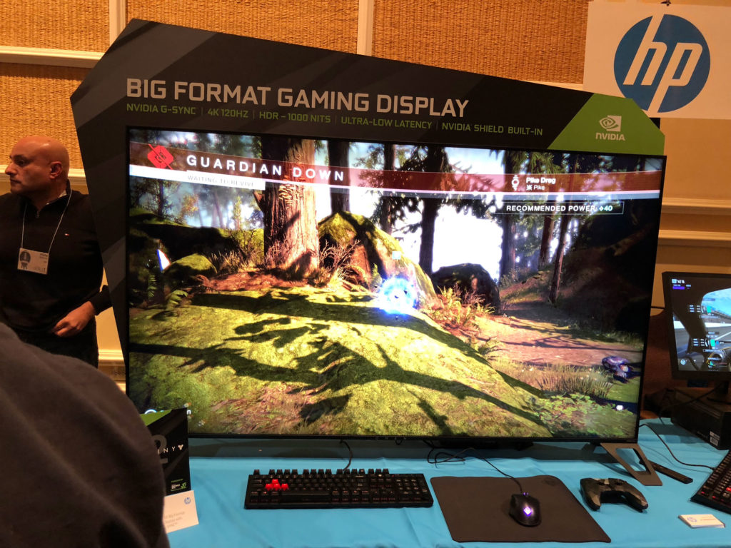 big-format-gaming-display