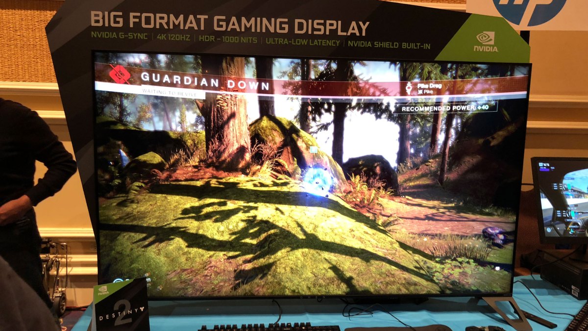 big-format-gaming-display-2