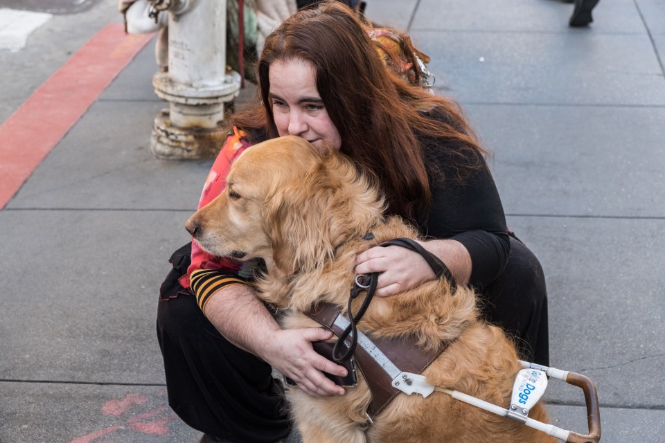 guidedog microsoft app soundscape