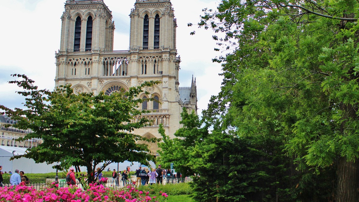 paris verdure biodiversité