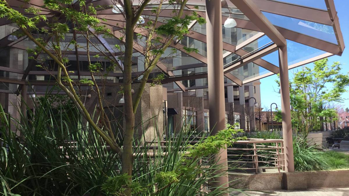 cupertino_city_center