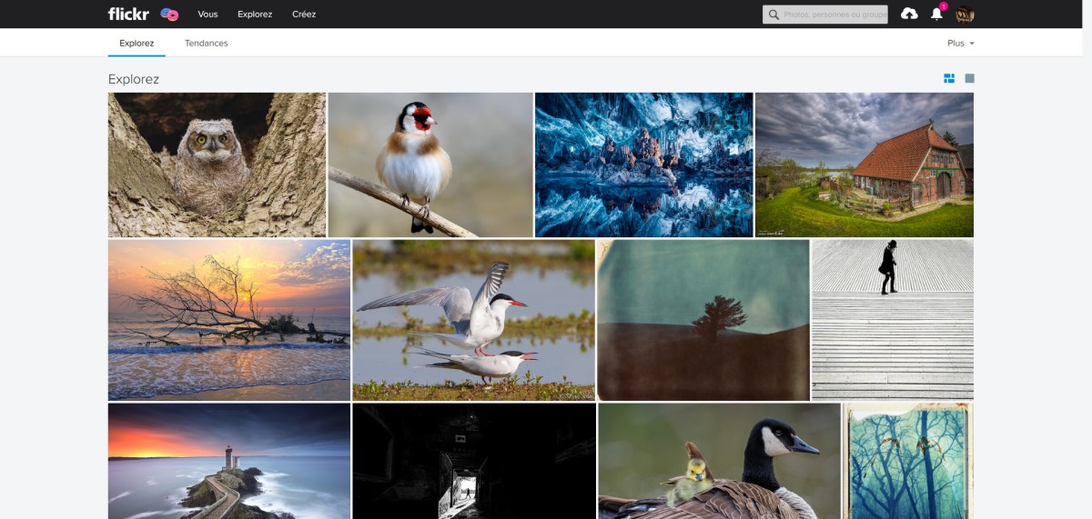 La nouvelle interface de Flickr.