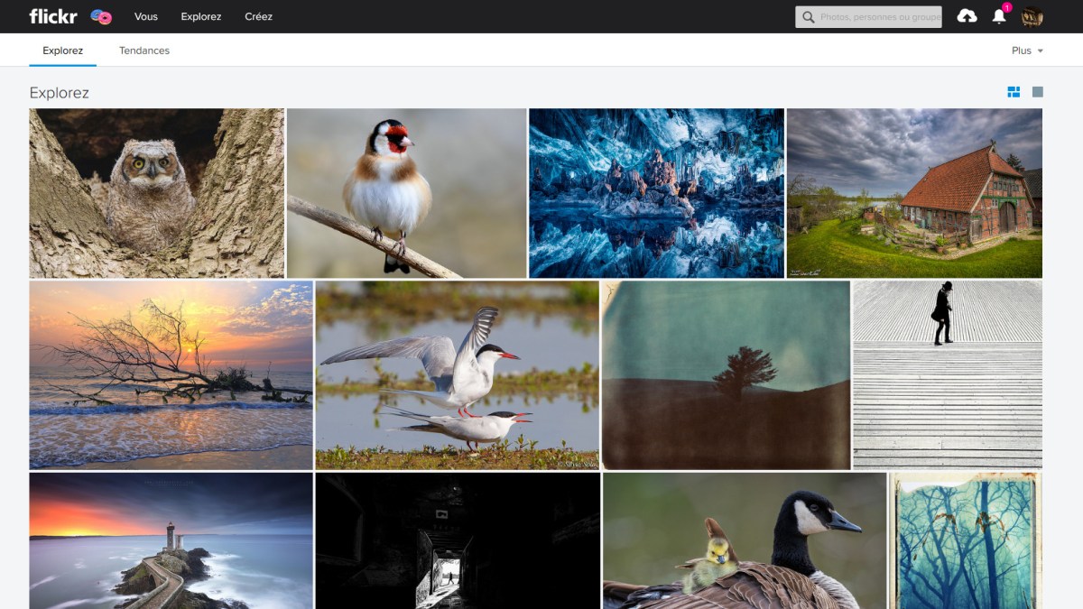 La nouvelle interface de Flickr.