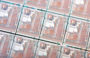 Tambako The Jaguar Tambako The Jaguar