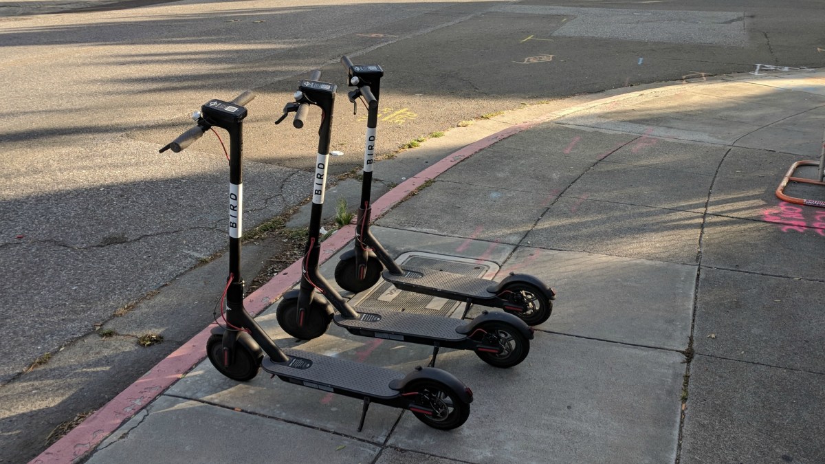 bird scooter