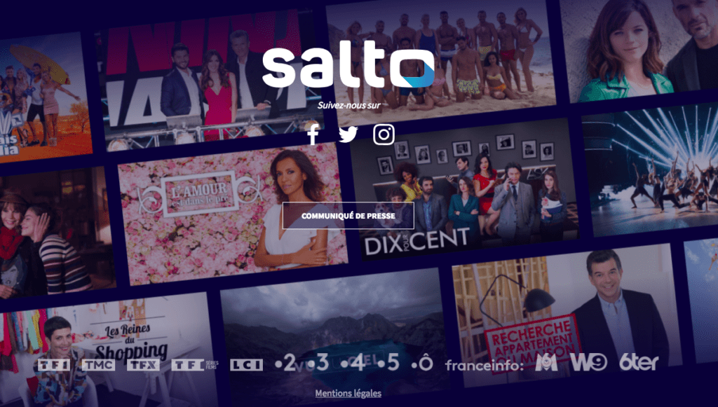 Image d'accueil de la plateforme SALTO // Source : Salto.fr