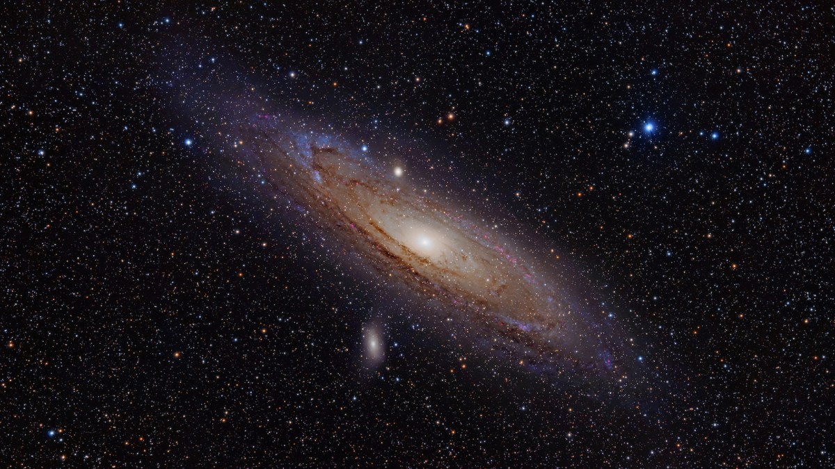 La galaxie d'Andromède. // Source : Wikimedia Commons/Adam Evans