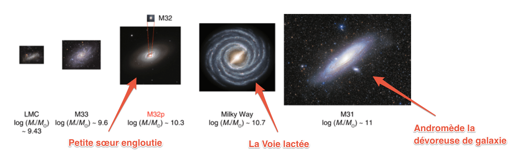 Avant d'être dévorée par sa voisine, M32p était le troisième plus grand membre du groupe de galaxies, derrière Andromède et la Voie lactée. // Source : Nature Astronomy