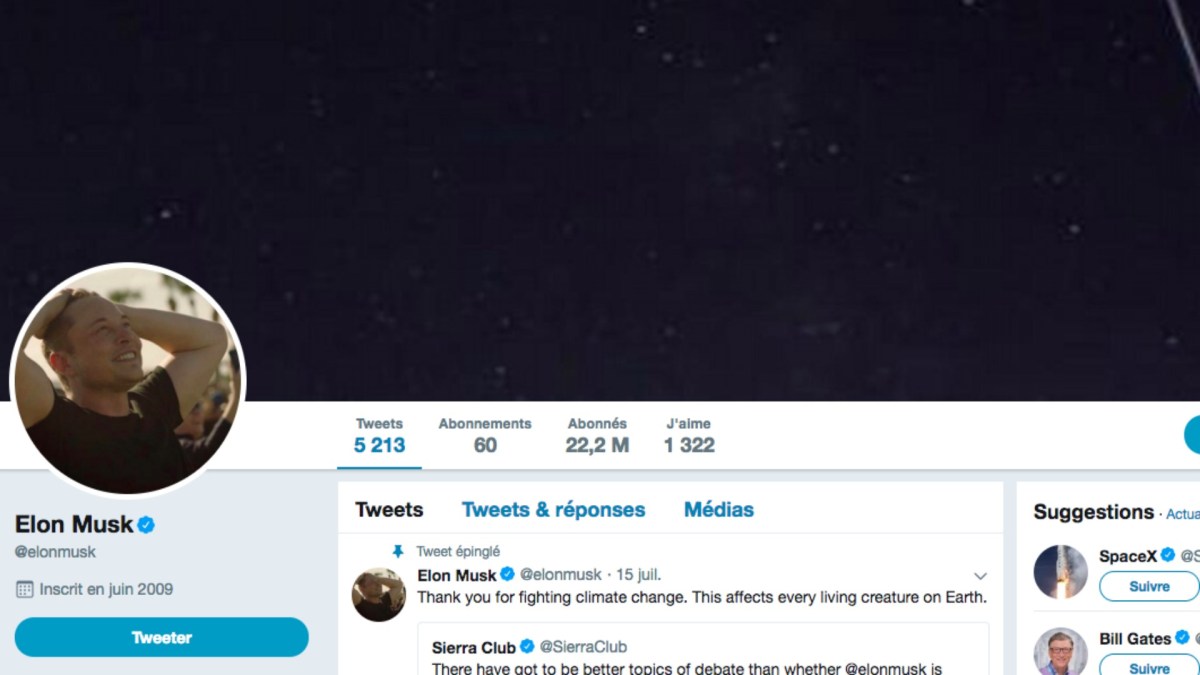 Compte Twitter officiel d'Elon Musk // Source : Twitter/Elon Musk