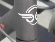 Le logo Bird // Source : Louise Audry pour Numerama