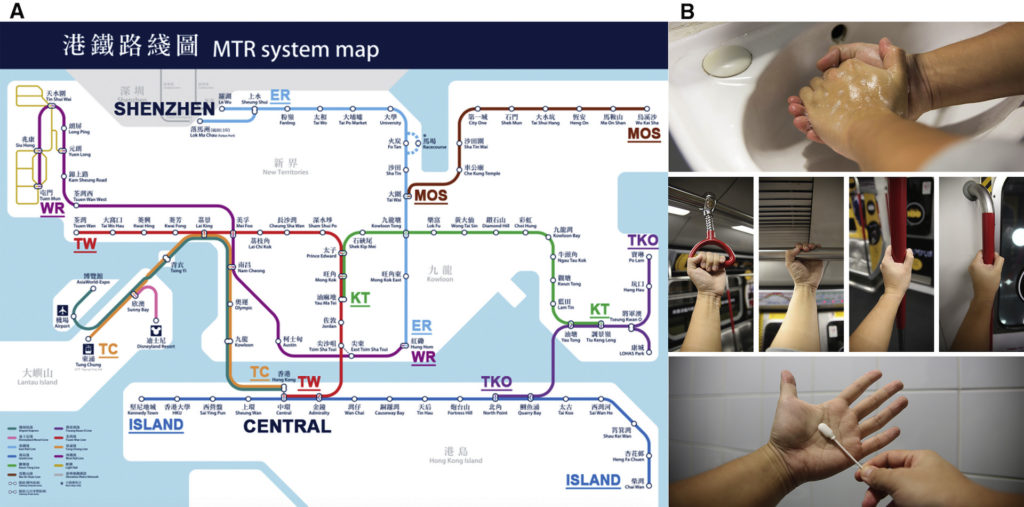 Le protocole expérimental pour identifier les bactéries du métro de Hong Kong. // Source : Cell Reports