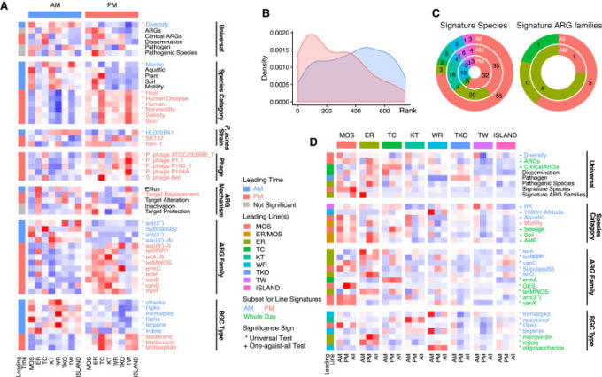 Les bactéries les moins abondantes sont en bleues, les plus abondantes en rouge. // Source : Cell Reports Les bactéries les moins abondantes sont en bleues, les plus abondantes en rouge. // Source : Cell Reports