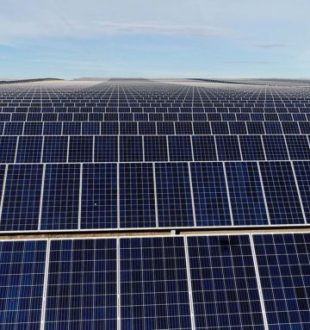 Une ferme de panneaux solaires. // Source : Facebook