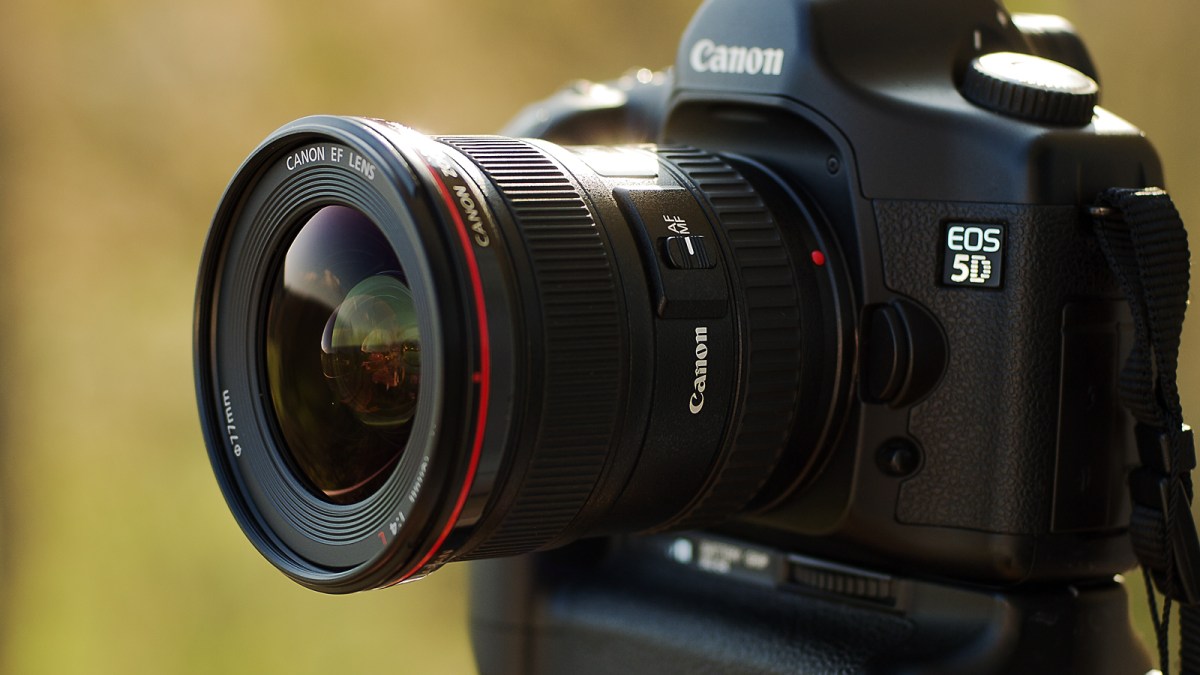 Canon 5D // Source : 55Laney69