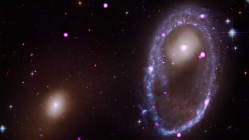 La galaxie AM 0644. En violet, les rayons X observés par Chandra ; en rouge, vert et bleu, ceux observés par Hubble. // Source : X-ray: NASA/CXC/INAF/A. Wolter et al; Optical: NASA/STScI (photo recadrée)