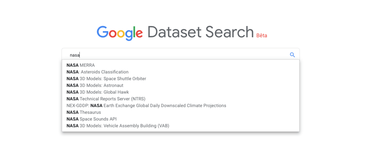 Capture d'écran Google Dataset Search