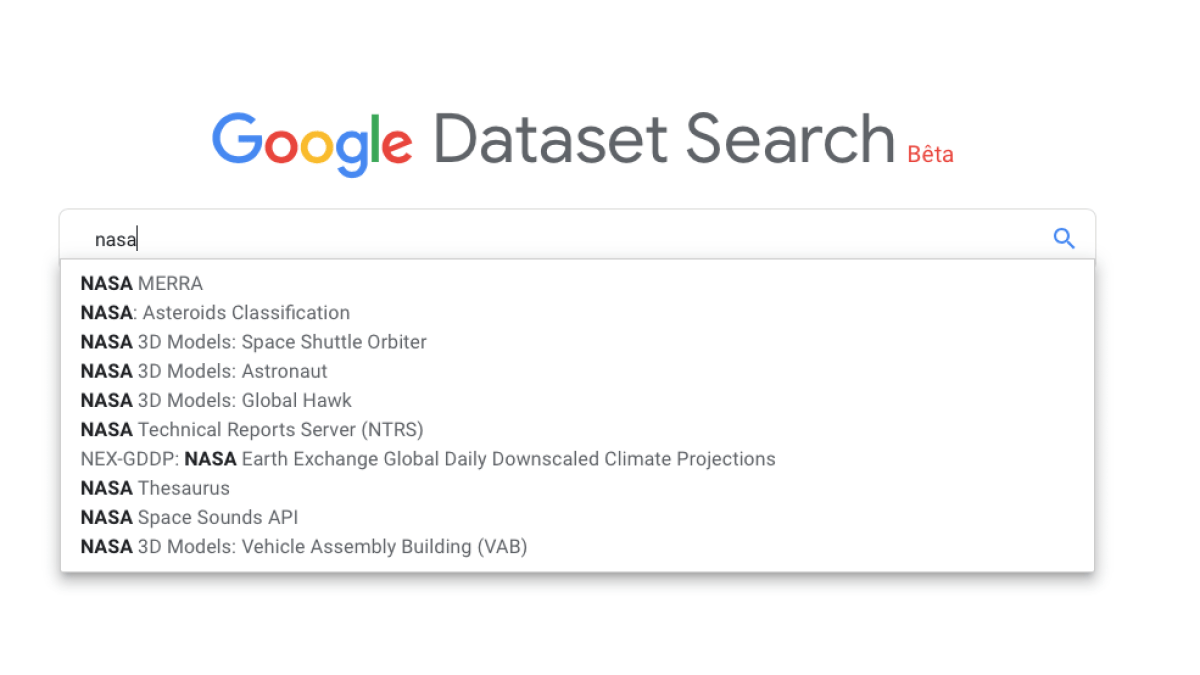 Capture d'écran Google Dataset Search