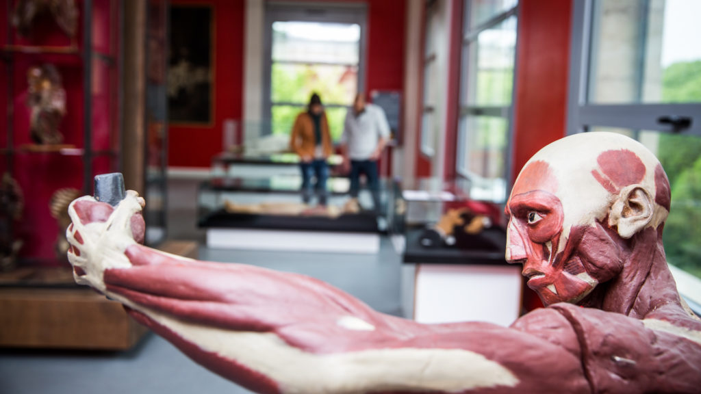 Rendez-vous au musée d'anatomie de Montpellier... si vous n'avez pas peur des instruments de chirurgie. // Source : UM - David Richard / Transit