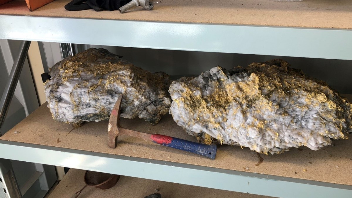 Les deux pépites d'or découvertes dans la mine de Beta Hunt. // Source : CNW Group/RNC Minerals