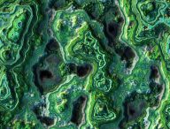 Des algues. // Source : Pxhere/CC0 Domaine public (photo recadrée)