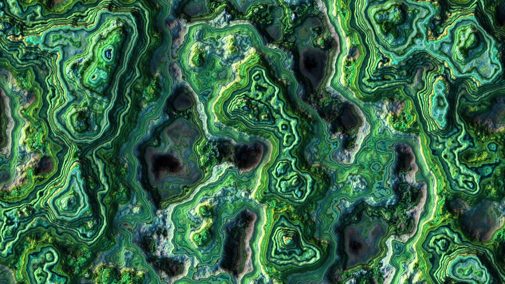 Des algues. // Source : Pxhere/CC0 Domaine public (photo recadrée)