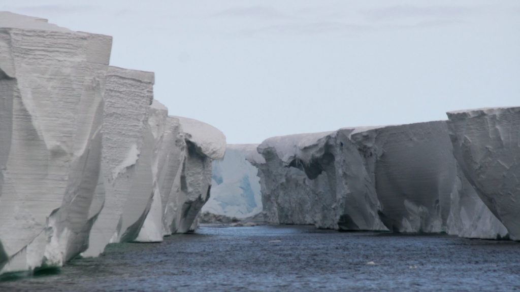 La barrière de Ross en Antarctique. // Source : Wikimedia/CC/Lin Padgham