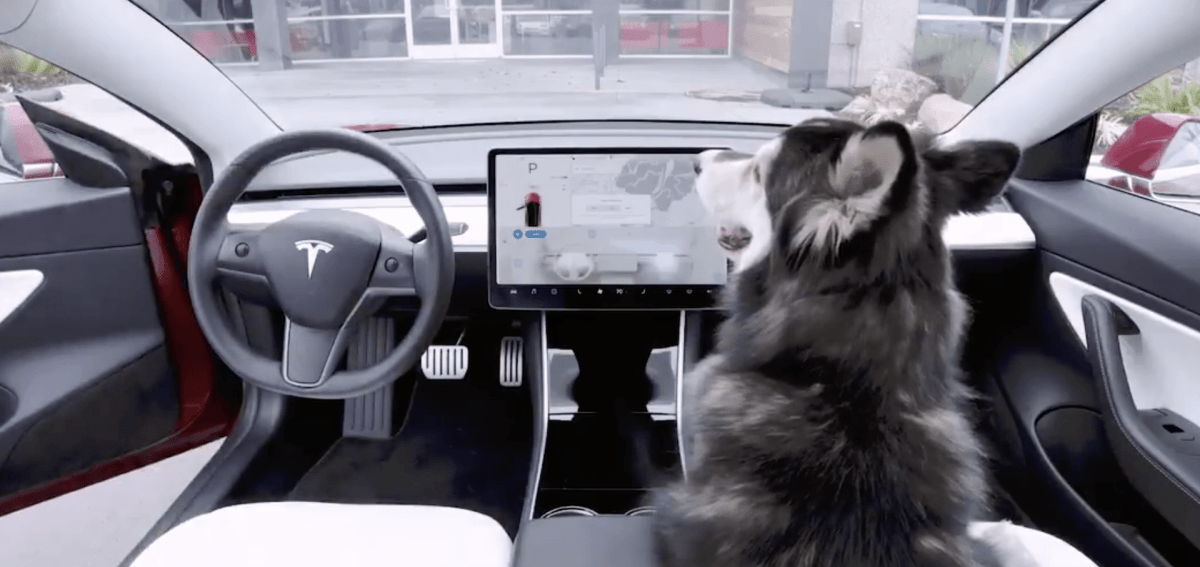 Tesla Dog Mode // Source : Capture Twitter du 14 février 2019