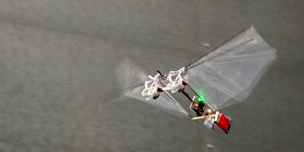 Un petit robot volant pour remplacer les abeilles ? // Source : The DelFly Project