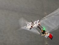Un petit robot volant pour remplacer les abeilles ? // Source : The DelFly Project