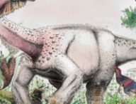 Le Ledumahadi mafube est l'un des plus proches spécimens des sauropodes.  // Source : Wits University