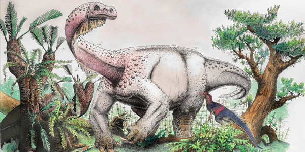 Le Ledumahadi mafube est l'un des plus proches spécimens des sauropodes.  // Source : Wits University